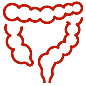 1-digestive-662801575fccd