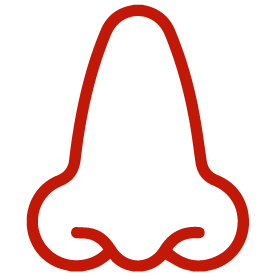 1-nose-662801560cb6b